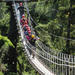 Douglas Island Zipline Tour from Juneau