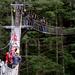 Ketchikan Shore Excursion: Rainforest Zipline Adventure