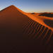 Red Dune Bashing in Dubai Including Desert Camp Experience with BBQ Dinner