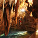 Blue Mountains and Jenolan Caves Day Trip from Sydney Including Optional Caving Adventure