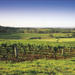 Hunter Valley Food and Wine Tasting Day Tour from Sydney Including Optional Hunter Valley Gardens