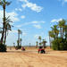 Camel and Quad Biking Tour from Marrakech