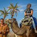 Desert and Palm Grove Camel Ride from Marrakech Including Moroccan Tea and Snack