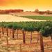 2-Day Barossa Valley and Hahndorf Tour from Adelaide