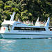 Marlborough Sounds Cruise from Picton