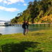 Motuara Island Bird Sanctuary and Ship Cove Cruise from Picton