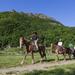 Sapporo Horseback-Riding Tour