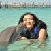 Private Island Dolphin Swim from Nassau