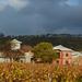 Penfolds Magill Estate Iconic Experience