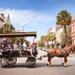 Historic Charleston Carriage Ride