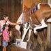 The Buckhorn Saloon & Museum and Texas Ranger Museum 
