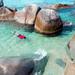 Day Cruise to British Virgin Islands from St Thomas or St John