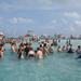 Grand Cayman Half-Day Private Charter Cruise