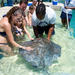 Blue Lagoon Stingray Encounter with Snorkeling