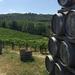 Chianti Classico Tour with Lunch from Lucca