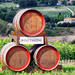 Chianti Classico Tour with Lunch from Pisa