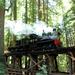 Roaring Camp Steam Train Through Santa Cruz Redwoods