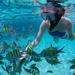 Snorkel Cruise from Montego Bay