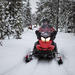 Lapland Christmas Moonlight Experience by Snowmobile from Rovaniemi