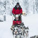 Lapland Husky Sled Ride from Saariselkä