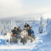 Lapland Snowmobile Safari to a Reindeer Farm from Saariselkä Including Reindeer Sleigh Ride