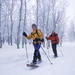 Tromso Snowshoe Hike