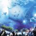 Skip the Line: Ocean Park Hong Kong Admission