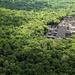 Archaelogical Site of Calakmul and Biosphere Day Trip from Villahermosa