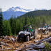 RZR Off-Roading Tours from Whistler