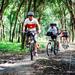 Small-Group Cu Chi Tunnels Boat and Bike Tour