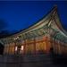 Central Seoul Evening Tour including Deoksu Palace, Seoul Plaza and Dongdaemun Market