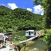 Iriomote Island Tour: Urauchi River Cruise, Maryudo Falls Hike and Kayak Tour