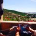 Half Day Sonoma Wine Tour from San Francisco