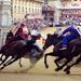 Siena Palio Horse Race Day Trip from Florence