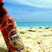Banks Brewery and Mount Gay Rum Tour in Barbados