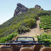 Malibu Wine Safari