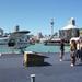 Auckland Seaplane Tour