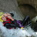 Chli Schliere Advanced Canyoning Experience from Interlaken