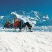 Snowshoe and Sled Adventure in the Swiss Alps from Interlaken