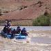 Westwater Canyon Rafting Adventure from Moab