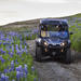 1-Hour 'Buggy Safari' Buggy Adventure from Reykjavik