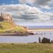 Holy Island, Alnwick Castle and Northumberland Tour from Edinburgh 