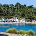 Costa Brava Small Group Day Tour: Sagaro and Palamos from Barcelona