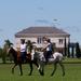 Become a Polo Player: Day Trip to Puesto Viejo Estancia