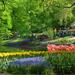 Amsterdam Day-Trip Combo: Keukenhof Gardens and Zaanse Schans Windmill Village