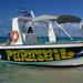 Providenciales Parasailing Adventure