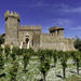Napa Valley Wine Trolley and Castle Tour