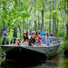 Honey Island Swamp Tour