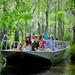 Honey Island Swamp Tour With Transport