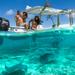 Small-Group Bora Bora Lagoon Snorkel Cruise with Barbecue Island Lunch